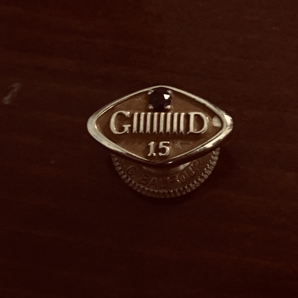 Pin - Picture 2 of 2
